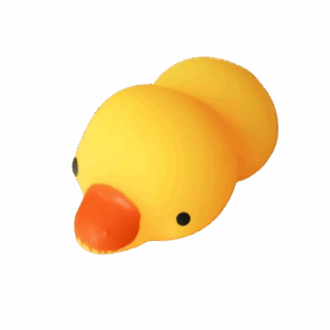 Eenden Squishy