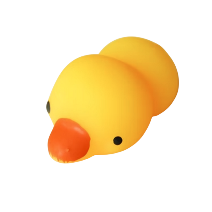 Eenden Squishy