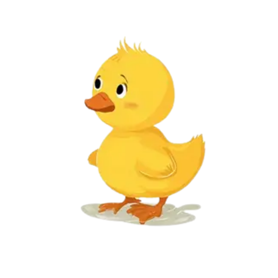 Muursticker 4 schattige eendjes - duck it up! - Afbeelding 3